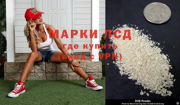стаф Белокуриха