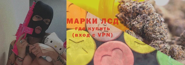 стаф Белокуриха