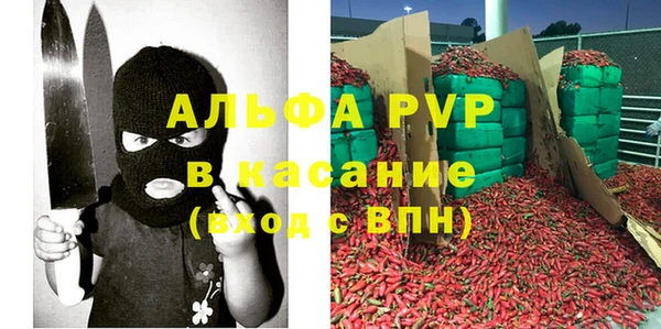 стаф Белокуриха