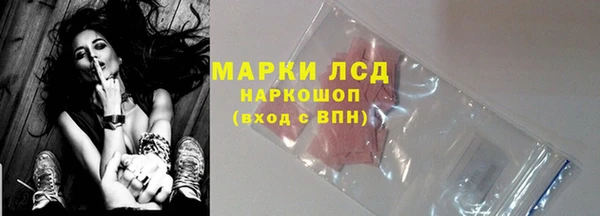 стаф Белокуриха