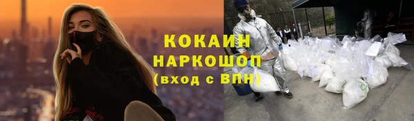 стаф Белокуриха