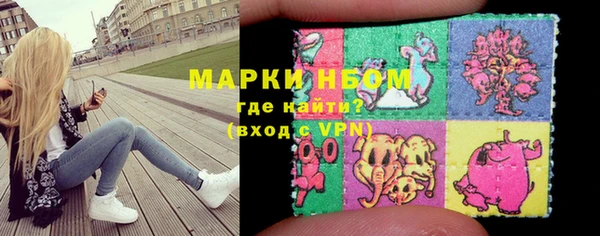 стаф Белокуриха