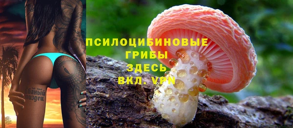 стаф Белокуриха