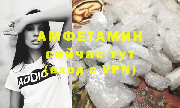 стаф Белокуриха